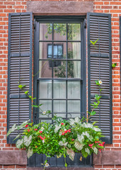 One, tall, city window with a window box, shutters and a reflection of a second window.  Green...