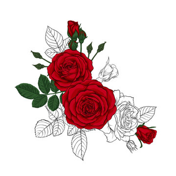beautiful bouquet with sketches and red roses and leaves. Floral arrangement. design greeting card and invitation of the wedding, birthday, Valentine's Day, mother's day and other holiday.