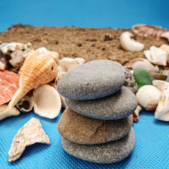Fototapeta na wymiar sea shells and stones