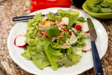 Delicious Fresh Green Salad on a Plate ready to be severed
