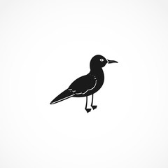seagull icon. isolated on white