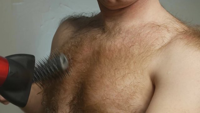 a Mature man with chest hair dries his chest hair with a red hair dryer and combs it with a comb. Increased hairiness. Shooting is close. 4K