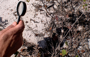 magnifying glass in the sun