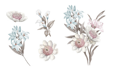 Watercolor flowers illustration