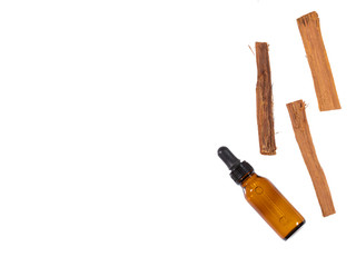 Uncaria tomentosa - Medicinal plant of the Peruvian jungle