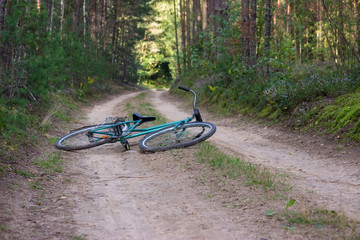 An old vintage bike lies on a sandy forest path