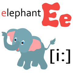 English alphabet letter with a picture of an elephant and transcription