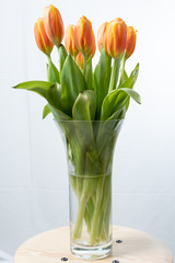 Orange and red tulips in a glass vase sitting on a wooden  stool with a white background