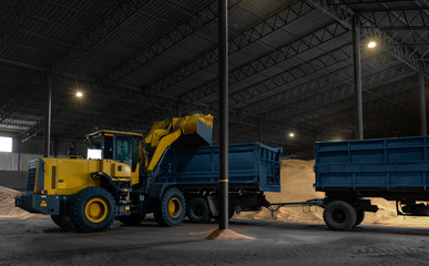 Loading a cargo of wheat into a truck using a wheel loader, bucket.