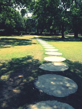 Stepping Stones On Grass