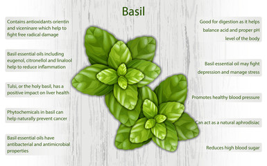 Basil health benefits infographics on wooden background
