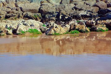 Coast rocks background and wet sandy shore
