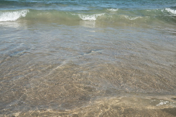 Beautiful view of Sharks swimming at Baia do Sueste at Fernando de Noronha Marine National Park, a Unesco World Heritage site, Pernambuco, Brazil