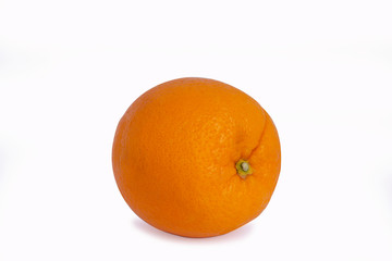 One Orange on white background