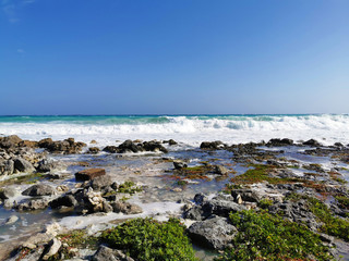 Waves from the Atlantic Ocean crashing on the rocky natural shore. Riviera Maya, Mexico.