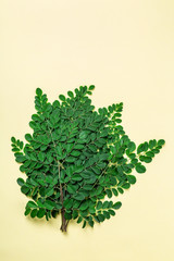 Fresh Moringa leaves  (Moringa Oleifera) on yellow background with copyspace.