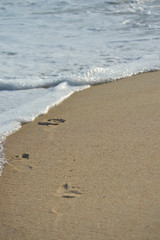 footsteps on the beach