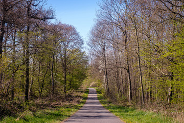 Radweg in einer Frühlingslandschaft