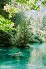 blue lake in switzerland. Mountain lake view and forest background