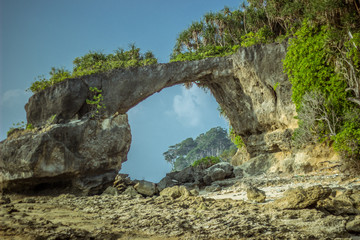 A front angle shot of natural bridge in Neil Island