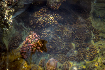 A shot of touch sensitive colour changing Corel