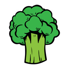 Vector Hand Drawn Broccoli Illustration