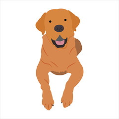 Funny dog clip art illustration with cartoon style