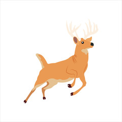 Christmas animal cartoon deer clip art illustration