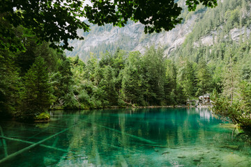 blue lake in switzerland. Landscape view of lake and forest