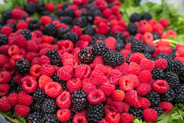 Frutos del bosque zarzamora y frambuesa