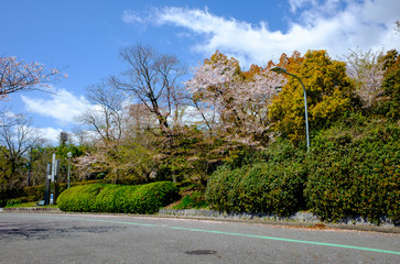 sprong in japan park