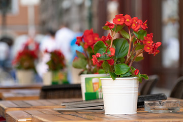 Flowers tables and chairs of an outdoor cafe in europe
