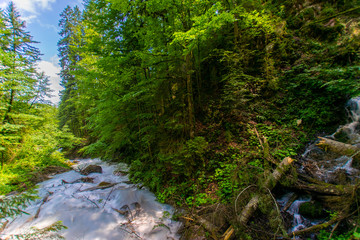 Obraz premium river in the mountains 