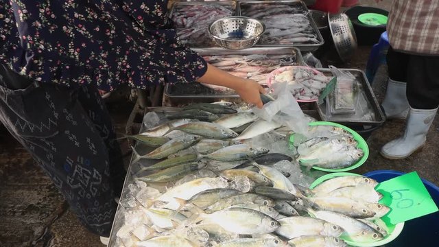 Selling sardines fish at Asian street market