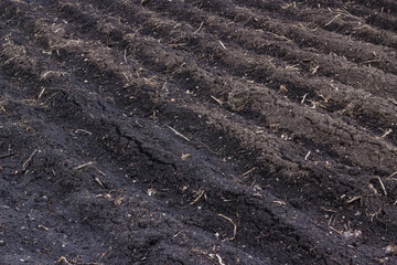 Black fertile soil of a plowed field. Earth texture, rural background, spring agricultural soil background