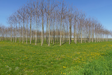 Obraz premium Rund um Rheinbach