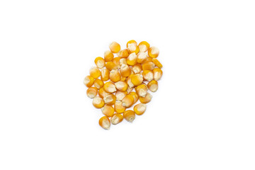 Corn on the cob kernels isolated on white background