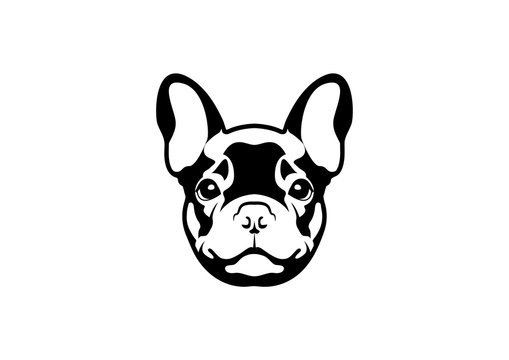 Cute French Bulldog in Black and White Logo Symbol.