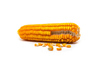 Corn on the cob kernels isolated on white background