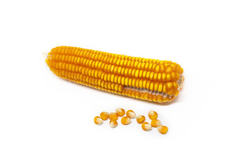 Corn on the cob kernels isolated on white background