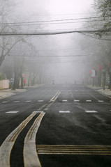 Landscape of Da Lat city, Viet nam in early morning, row white flower trees in fog, foggy street in cold weather
