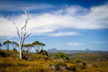 A view on the road to Cradle Mountain, Tasmania, Australia.