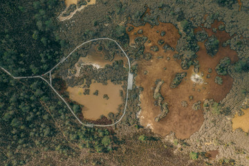 Wooden path track on the swamp in Latvia Kemeri from above