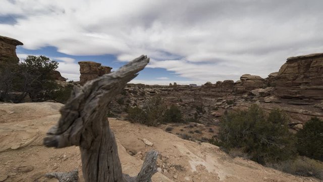 A wide timelapse looking past a dead tree into Big Spring Canyon Overlook as clouds flow overhead on a winter morning.