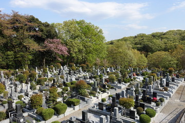 新緑の墓地（埼玉）　cemetery in spring, JAPAN