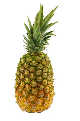 fresh pineapple on white background for design