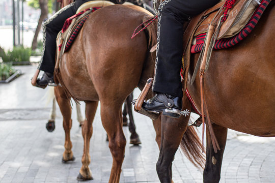 Detalle de caballo y espuela