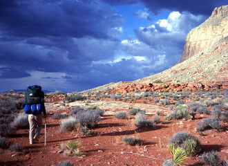 Backpacker on the Esplanade, Grand Canyon National Park, Arizona