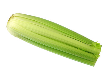 fresh celery isolated on white background