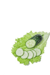 cucumber on a white background